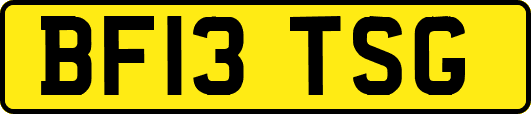 BF13TSG