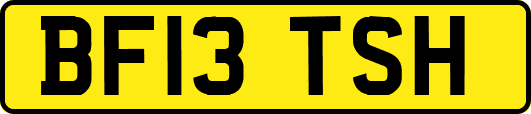 BF13TSH