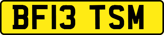 BF13TSM
