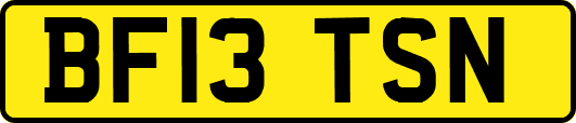 BF13TSN