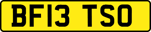 BF13TSO