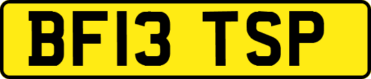 BF13TSP