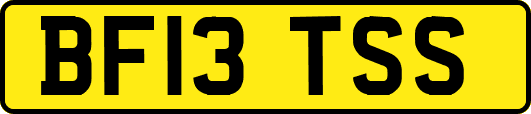 BF13TSS