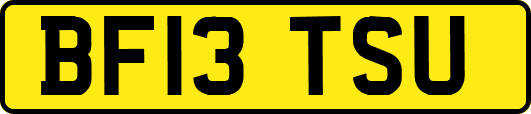 BF13TSU