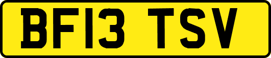 BF13TSV