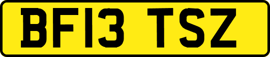 BF13TSZ