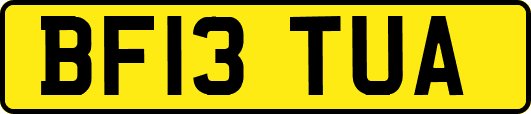 BF13TUA