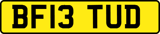 BF13TUD