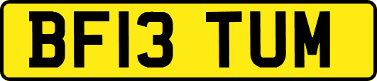 BF13TUM