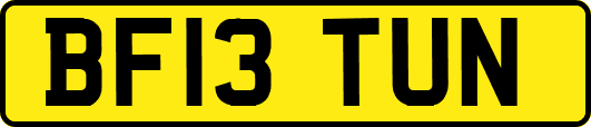 BF13TUN