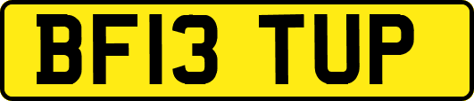 BF13TUP
