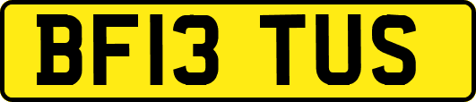 BF13TUS