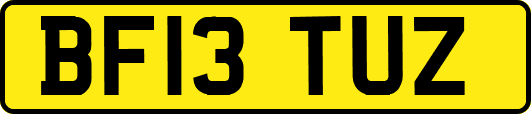 BF13TUZ
