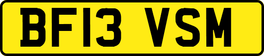 BF13VSM