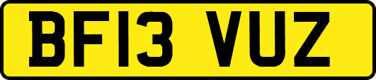 BF13VUZ