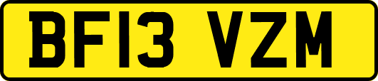 BF13VZM