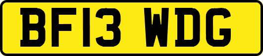 BF13WDG