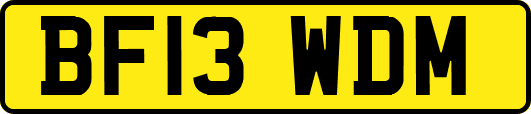 BF13WDM