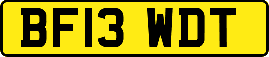 BF13WDT