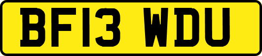 BF13WDU