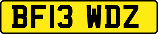 BF13WDZ