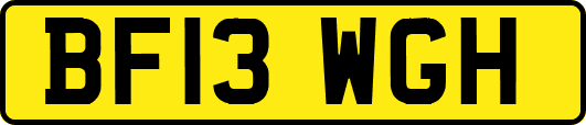 BF13WGH