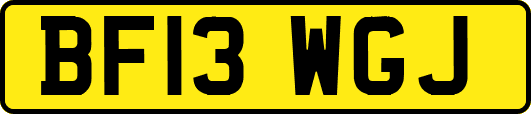 BF13WGJ
