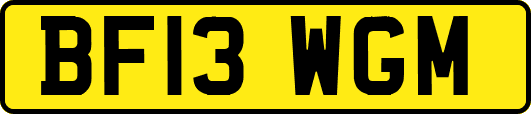BF13WGM