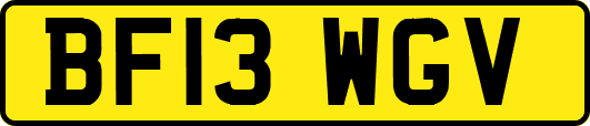 BF13WGV