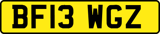 BF13WGZ