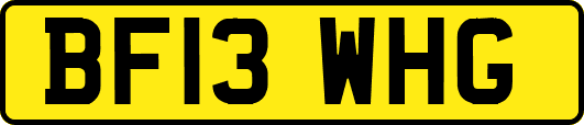 BF13WHG