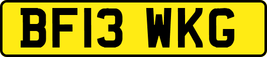 BF13WKG