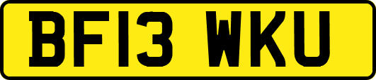 BF13WKU
