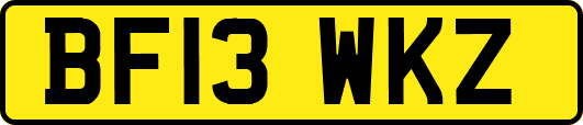 BF13WKZ