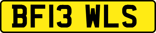 BF13WLS