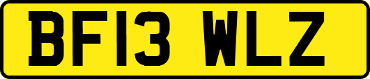 BF13WLZ