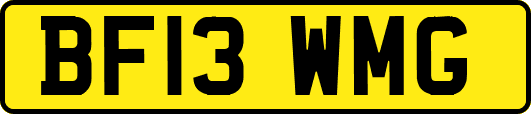 BF13WMG