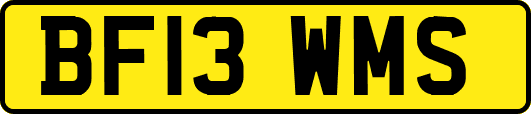 BF13WMS