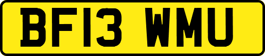 BF13WMU