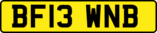 BF13WNB