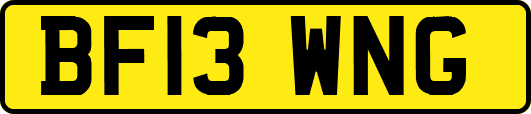 BF13WNG
