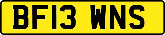 BF13WNS