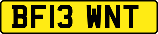 BF13WNT