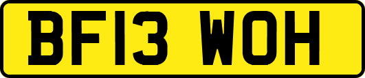 BF13WOH