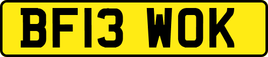 BF13WOK