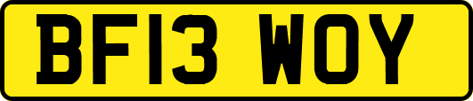 BF13WOY