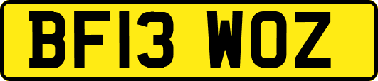 BF13WOZ