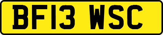 BF13WSC