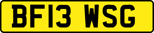 BF13WSG