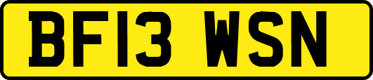 BF13WSN